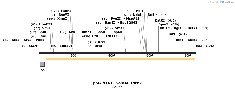 85623_map