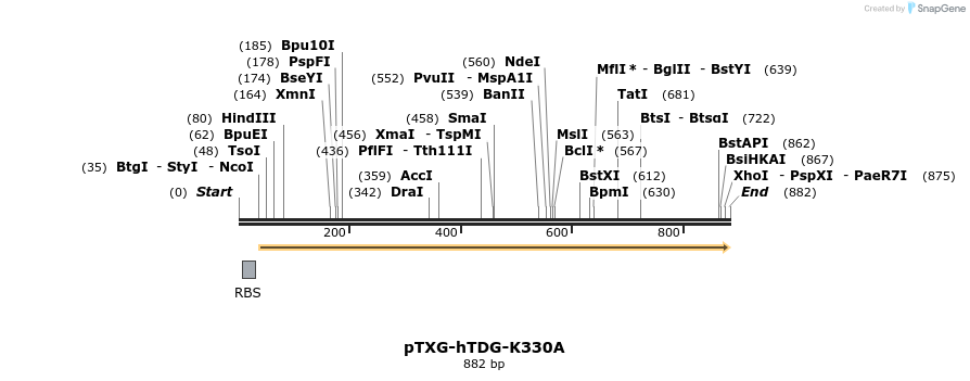 85628_map