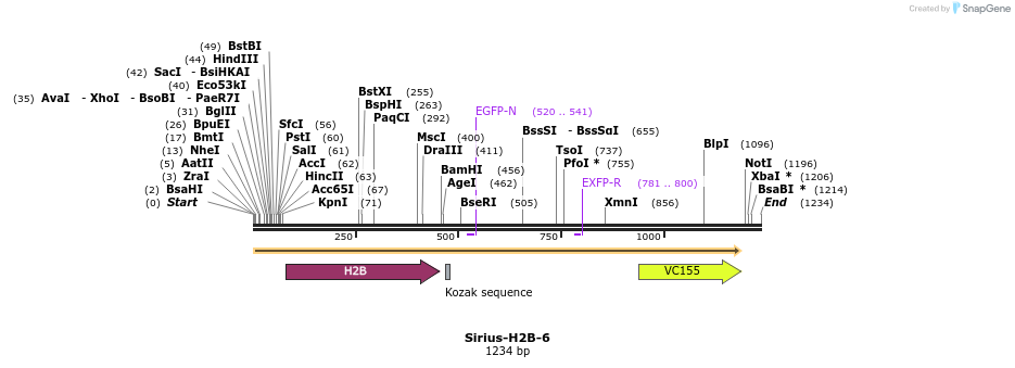 85630_map