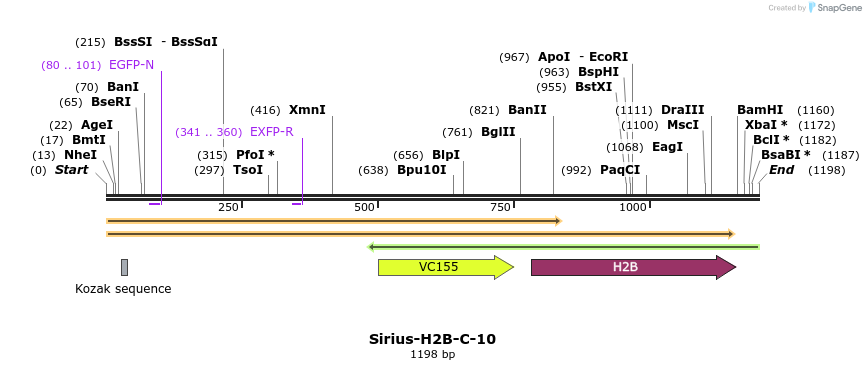 85631_map