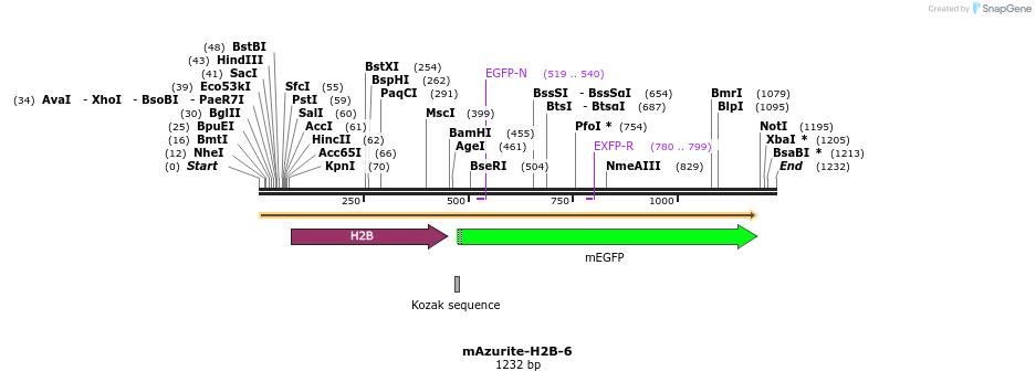 85637_map