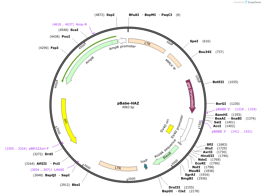8564_map