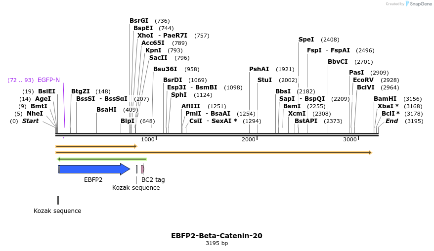 85640_map