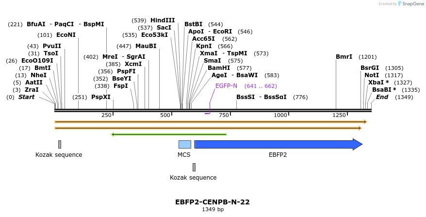 85642_map