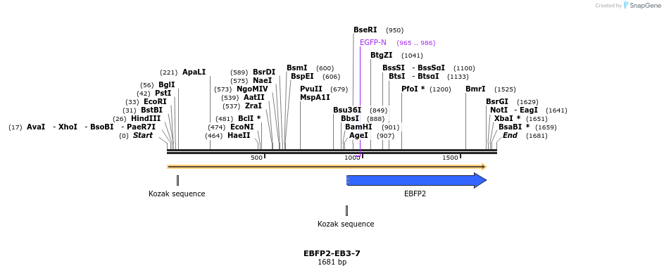 85644_map
