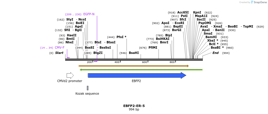 85645_map
