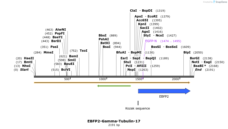 85647_map