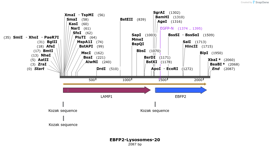 85651_map