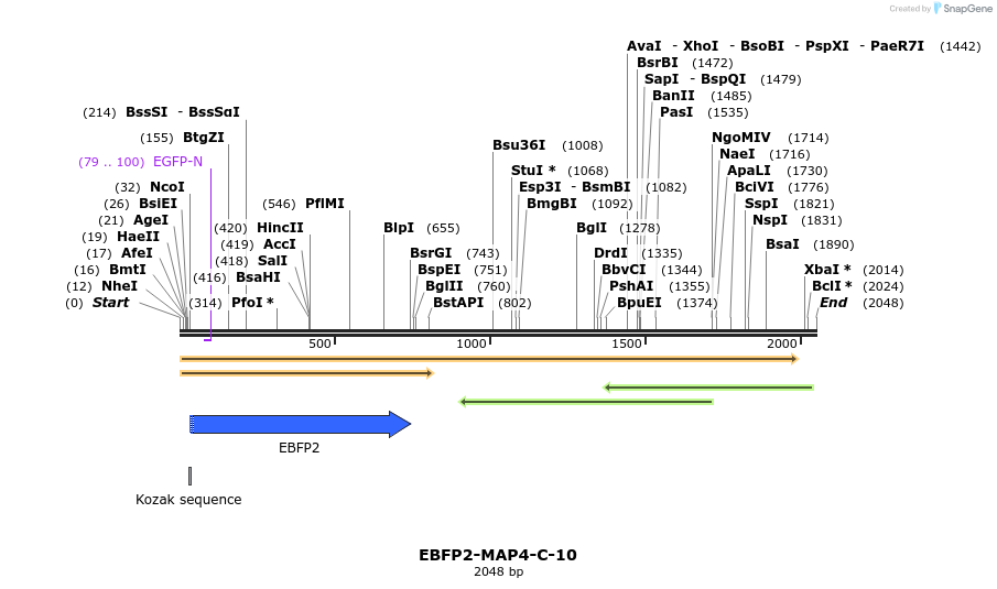 85652_map