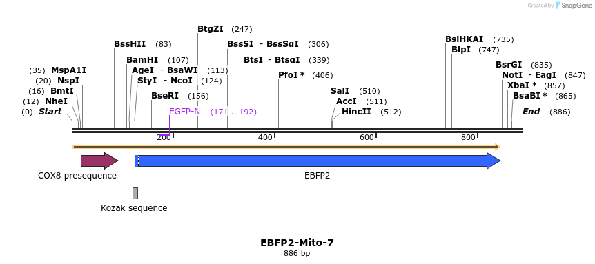 85653_map