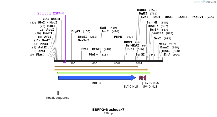 85654_map