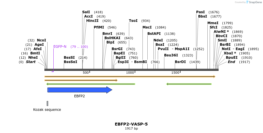85656_map