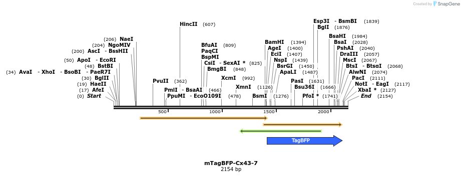 85661_map
