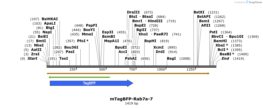 85673_map