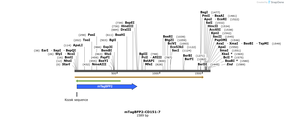 85687_map