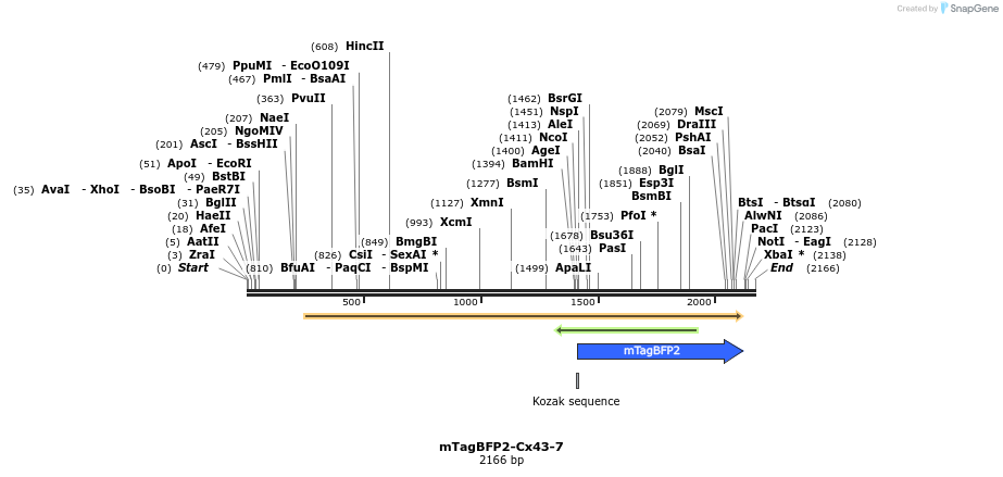 85693_map