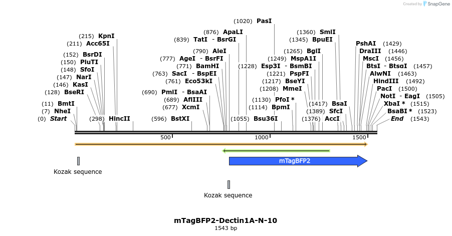 85696_map