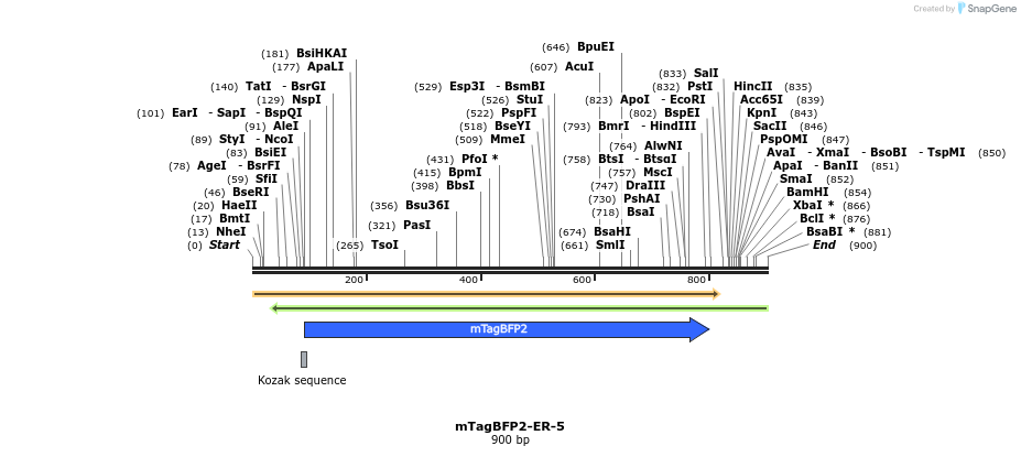 85699_map