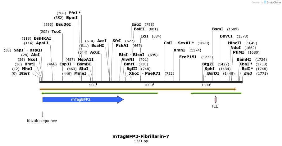 85701_map