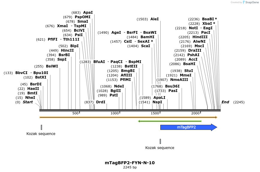 85702_map