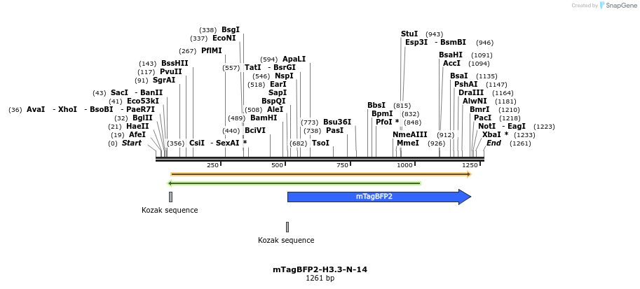 85707_map