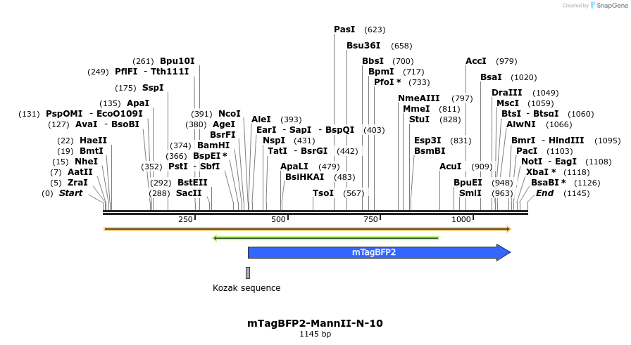 85714_map