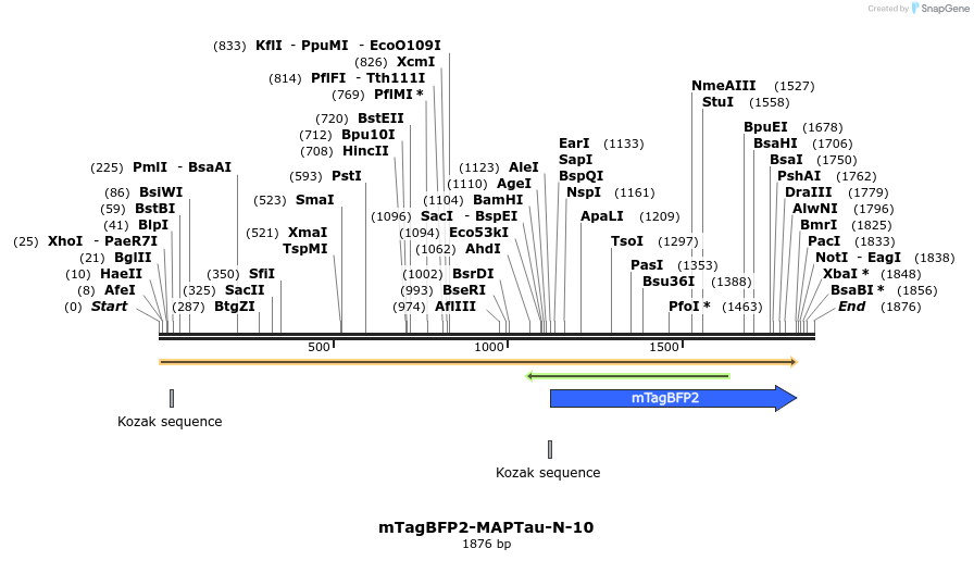 85717_map