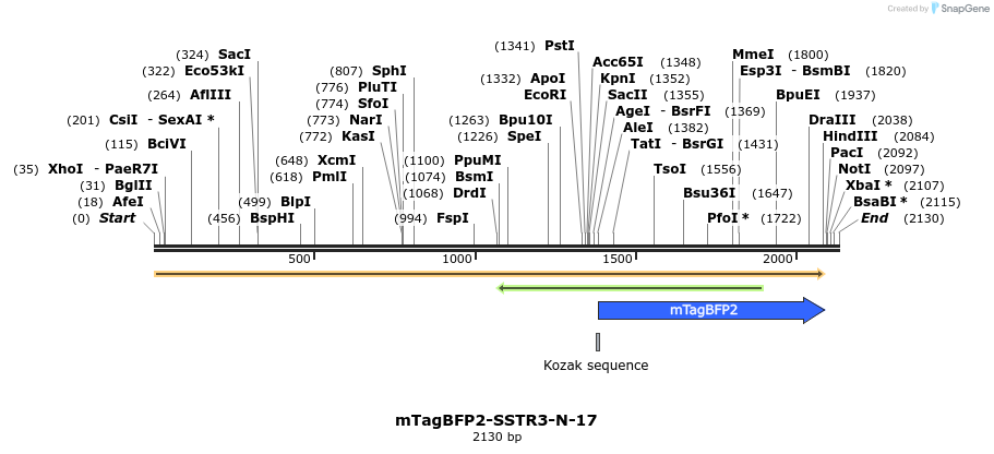 85731_map