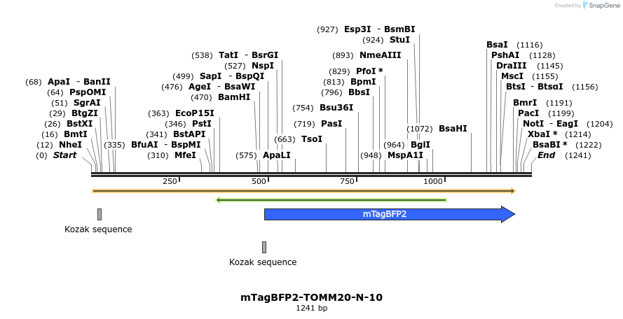 85733_map