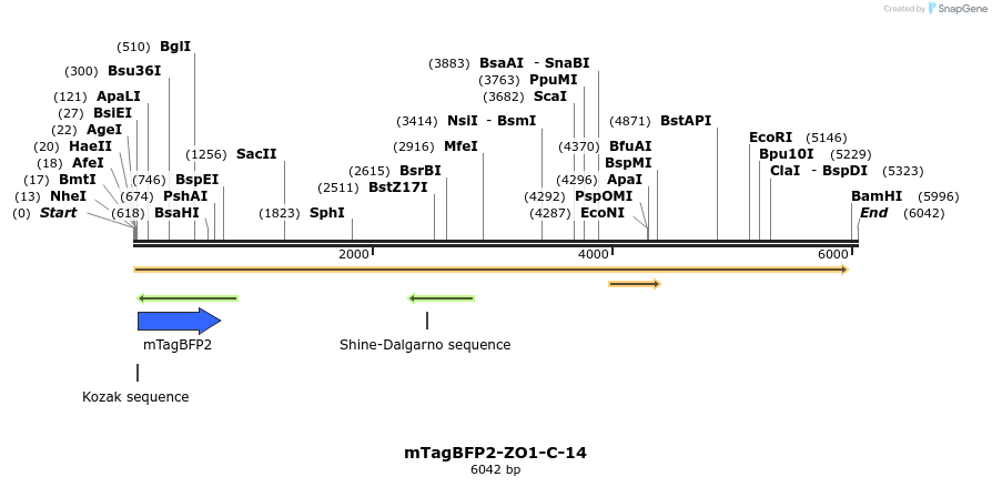 85740_map
