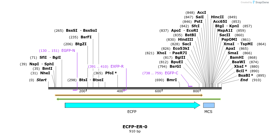 85747_map