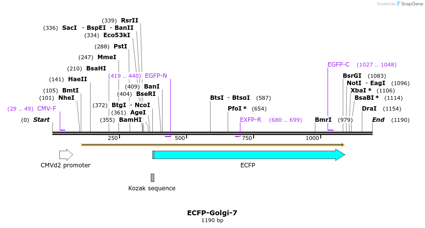 85748_map