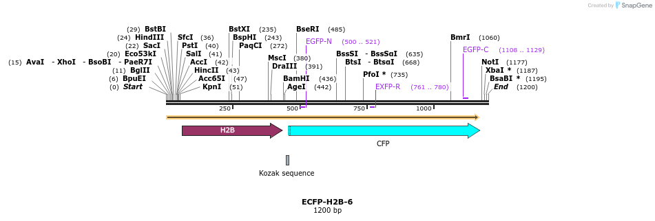 85749_map