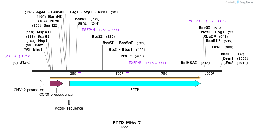 85750_map