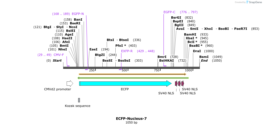 85751_map