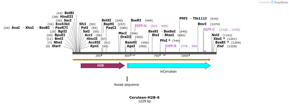 85753_map