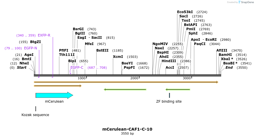 85757_map