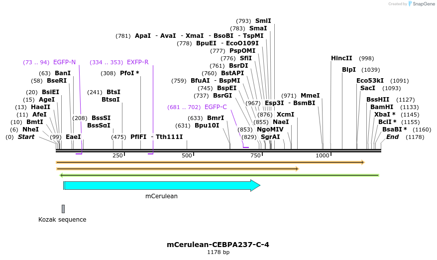85760_map