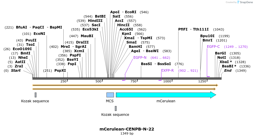 85761_map