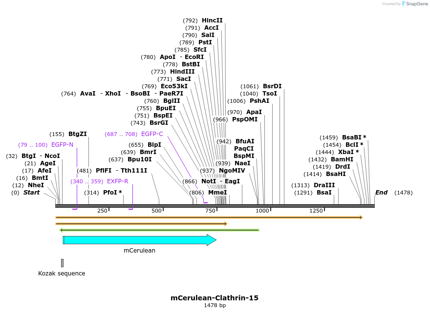 85762_map