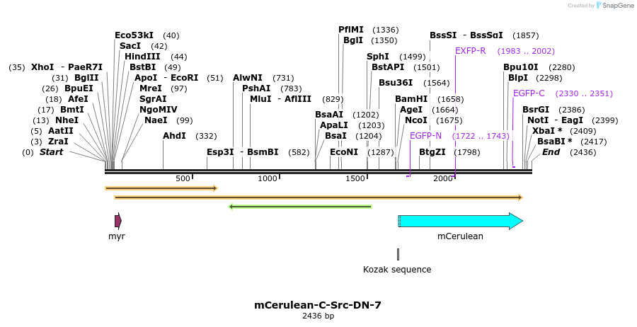 85764_map