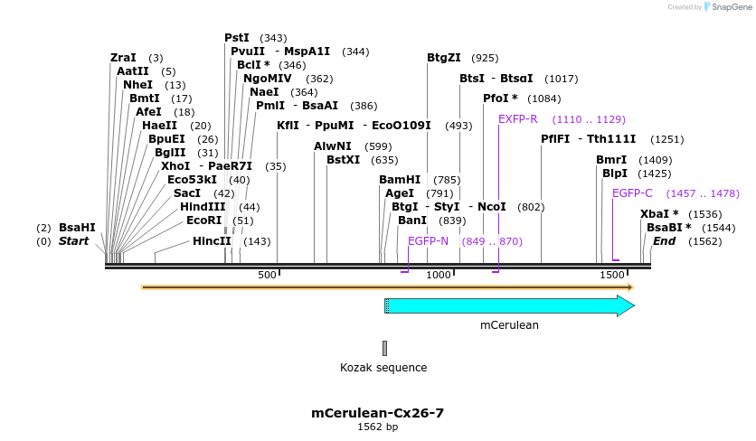 85765_map