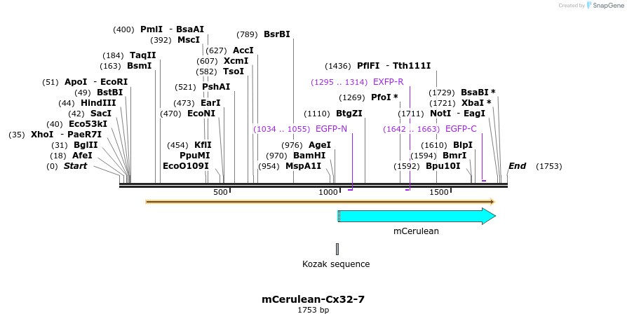 85766_map