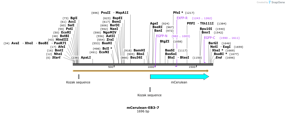 85769_map