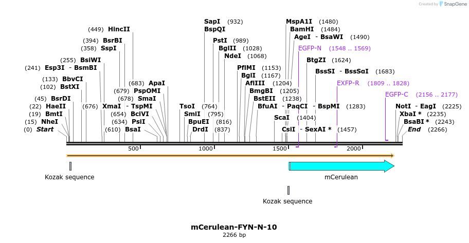 85773_map