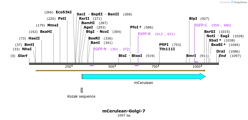 85775_map