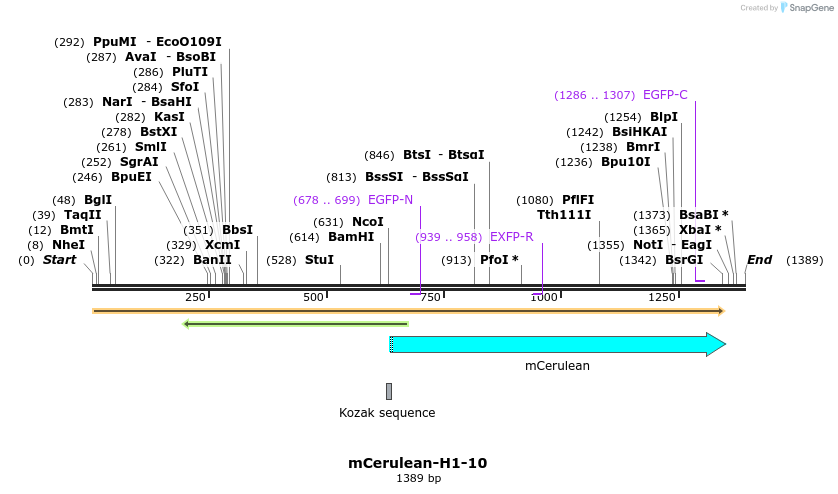 85776_map