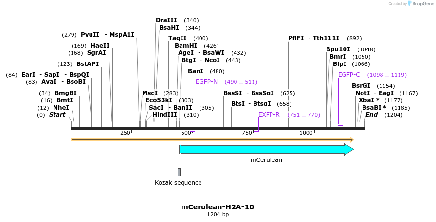 85777_map