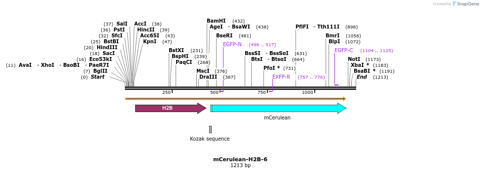 85778_map