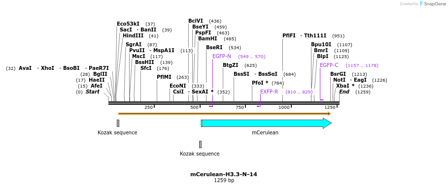 85781_map